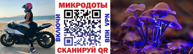 Псилоцибиновые грибы Psilocybine cubensis  Топки 